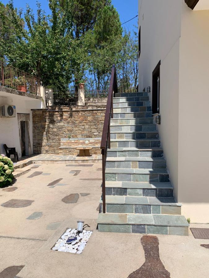 Studio With Loft Raxes Ikaria #5 Raches  外观 照片